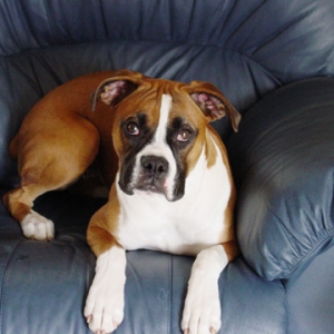 Sitting In Chair