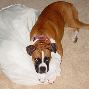 Hugging the bed