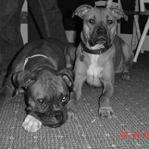 Grace and Harlie