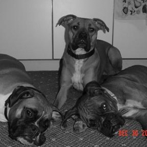 All my lovies!