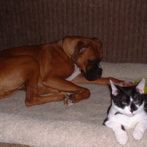 Samson & Alex