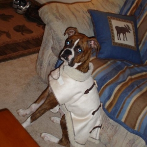 Picture_034