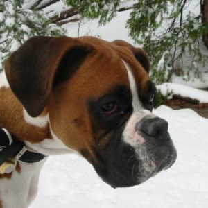 Max in the snow