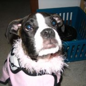 Pretty in Pink