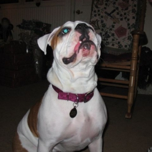Frontal view of Sasha