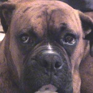 Your camera does not amuse me!!