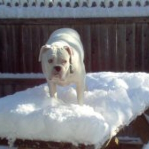 Buster