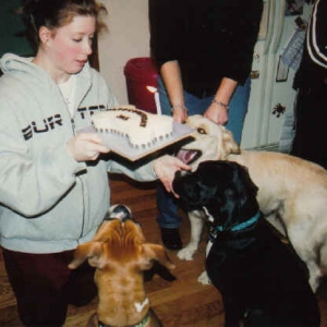 Give Us Cake!