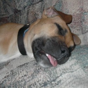 Tongue Out