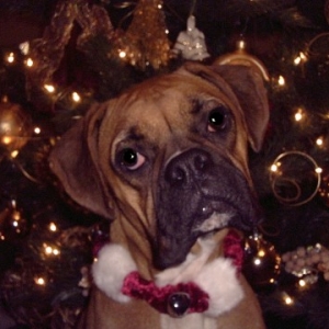 Happy Holidays!!!