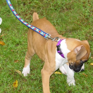 More Play time