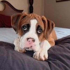 Little Mason