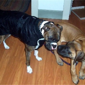 What's that your wearing?