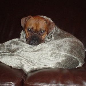 jessie_12-04_003