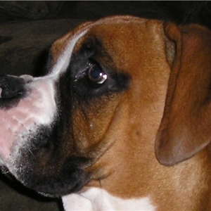 Look @ My pretty profile