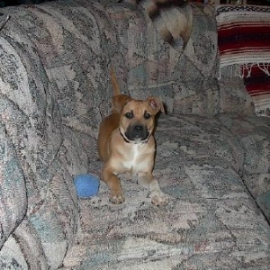 Sally on couch