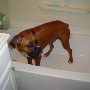 Bath Time!