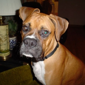 Buford_10-21-04