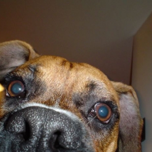 Curious about the camera...