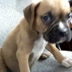 Leave me alone!