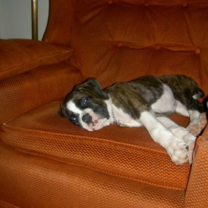 I have dad's chair