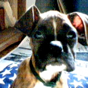 Tug at 9 weeks