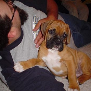 9 WEEKS OLD