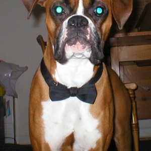 tie