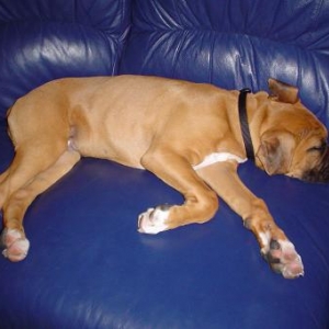 NAP TIME