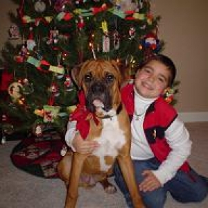 Merry Christmas