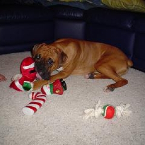 Santa Came To My House