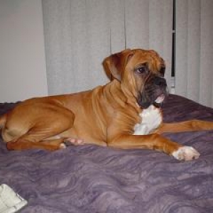 I'm Getting Big!