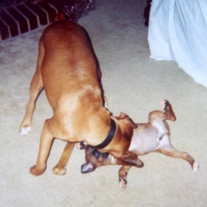 playing