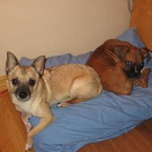 Cuddling