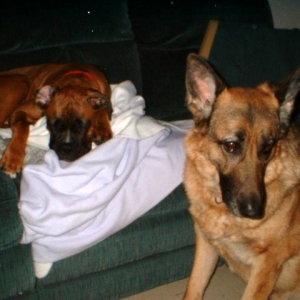 my girls