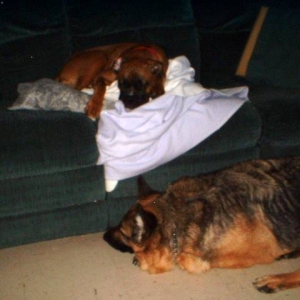 Sleepy Heads