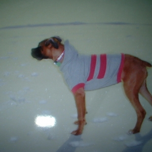 Cin and her Super cool Sweater