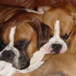 Sleeping