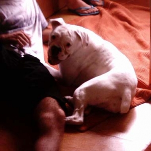 Kiara - lovely "smile"