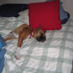 dead tired