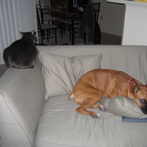 mad at each other!