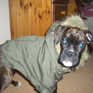 Elvis in his Parker Coat