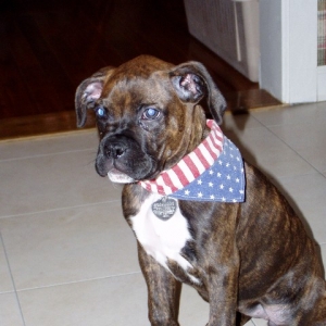 sadie mae at 12 weeks