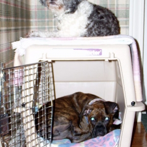 bunkbeds