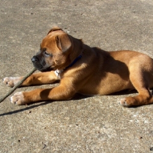 Enjoying the outdoors