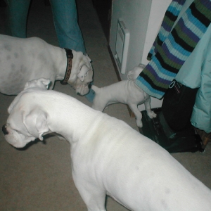 Luna meets her new brothers