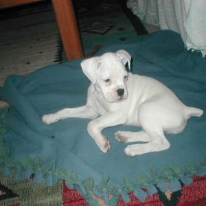 Introducing......Luna!