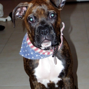 what to do about that ear???