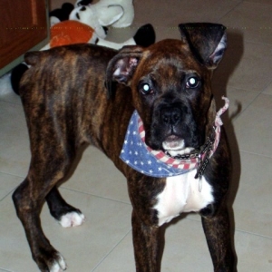 sadie mae at 15 weeks