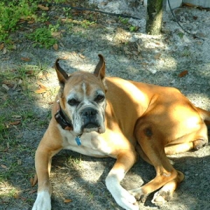 Basking in the sun